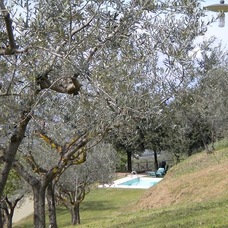Pensjonat Il Poggio Delle Ginestre Torgiano Zewnętrze zdjęcie