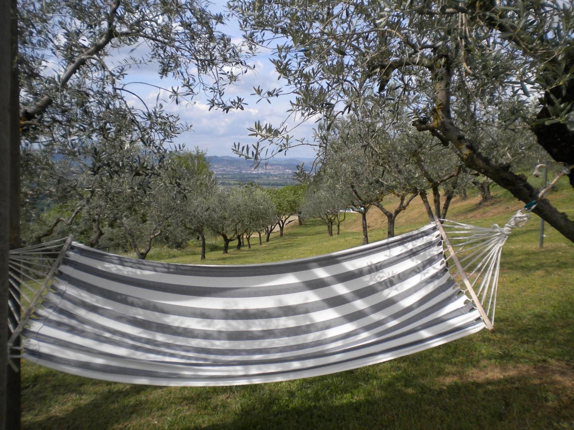 Pensjonat Il Poggio Delle Ginestre Torgiano Zewnętrze zdjęcie