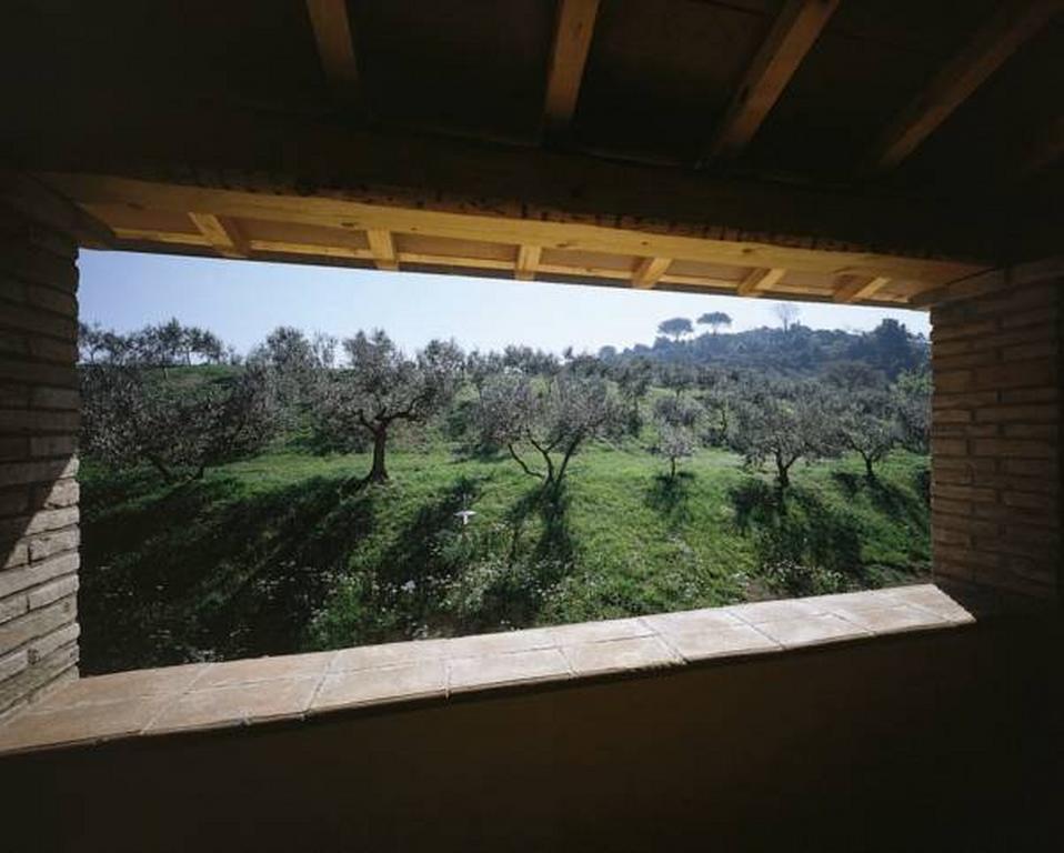 Pensjonat Il Poggio Delle Ginestre Torgiano Zewnętrze zdjęcie